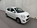 Kia Picanto Picanto 1.0i / Clim / très propre! Wit - thumbnail 6
