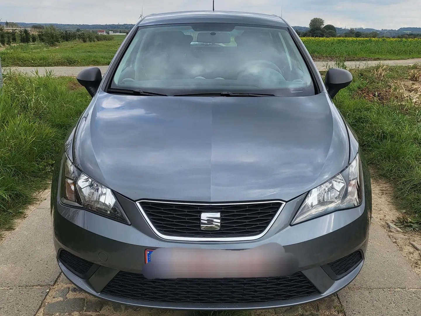 SEAT Ibiza Ibiza 1.3i Cala GLX Gris - 1