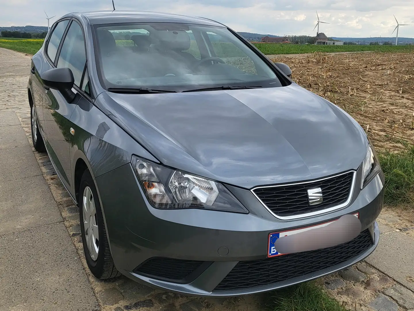 SEAT Ibiza Ibiza 1.3i Cala GLX Gris - 2