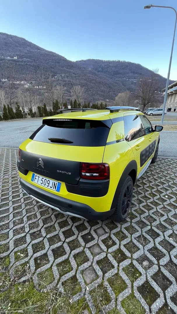 Citroen C4 Cactus bluehdi 100 shine full optional adatta a neopatent - 2