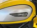 Ducati Scrambler Icon 800 Jaune - thumbnail 14