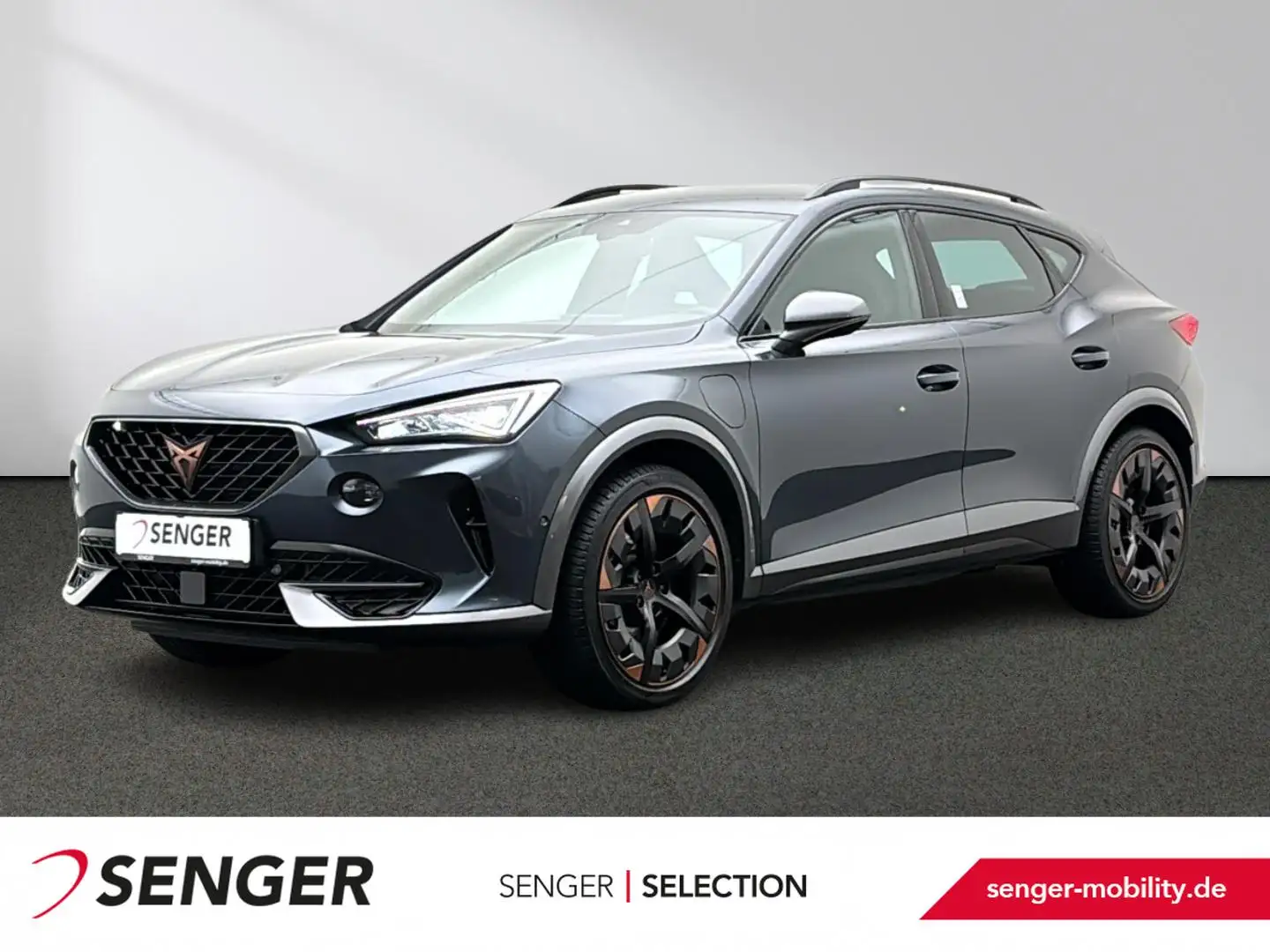CUPRA Formentor VZ 1.4 eHybrid DSG LED ACC AHK Memory Grau - 1