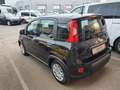 Fiat Panda 1.0 Hybrid 70PS - Klima, Bluetooth, PDC Schwarz - thumbnail 5