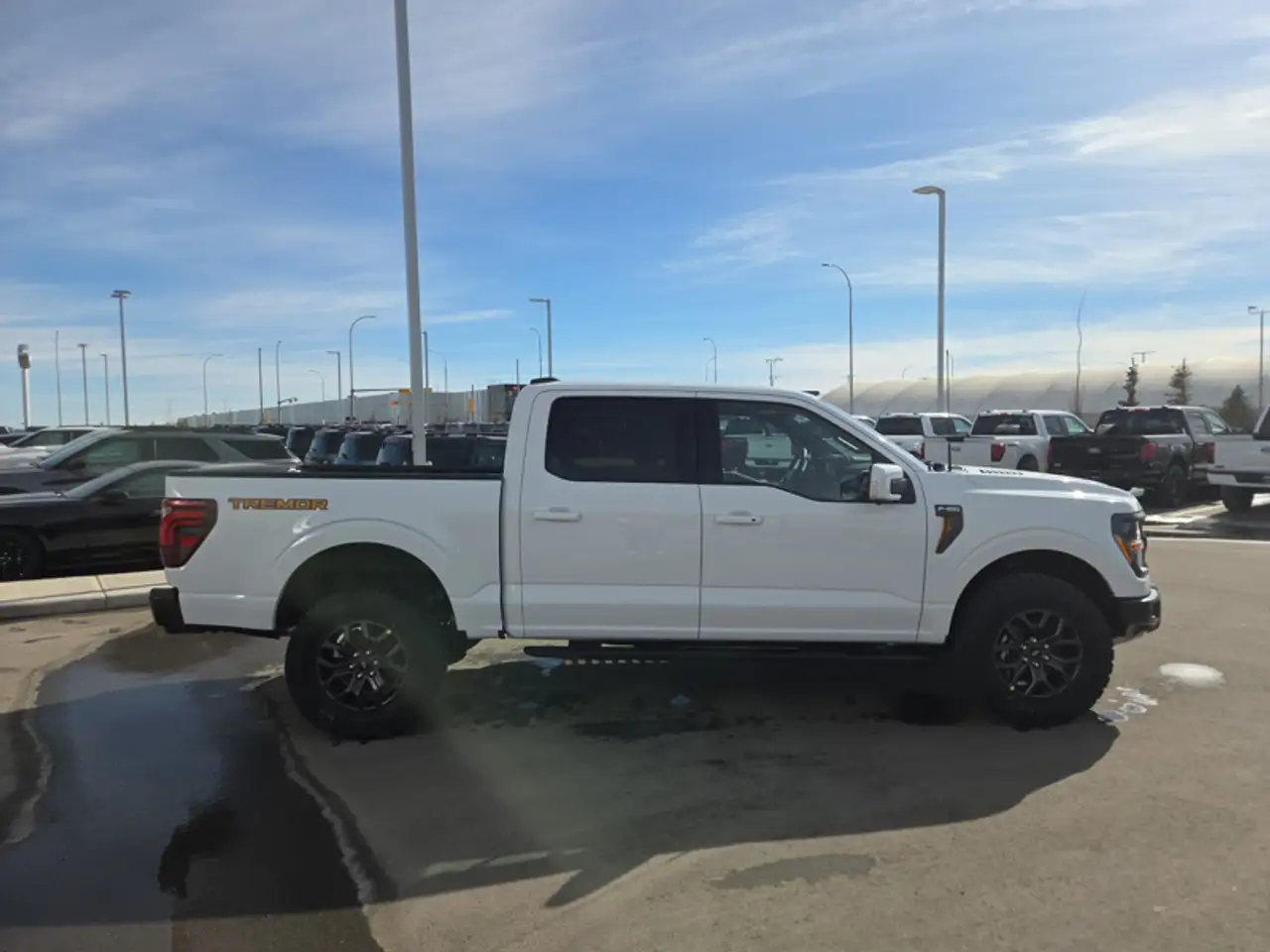 Ford F 150 снимка Ford F 150