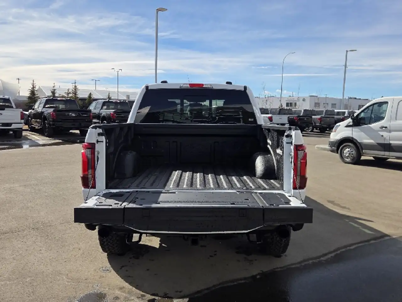 Ford F 150 снимка Ford F 150