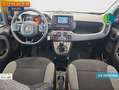 Fiat Panda 1.0+Hybrid+GSE+51+kW+%2870+CV%29 Gris - thumbnail 8