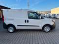 Fiat Doblo Doblò SX Kasten Weiß - thumbnail 4