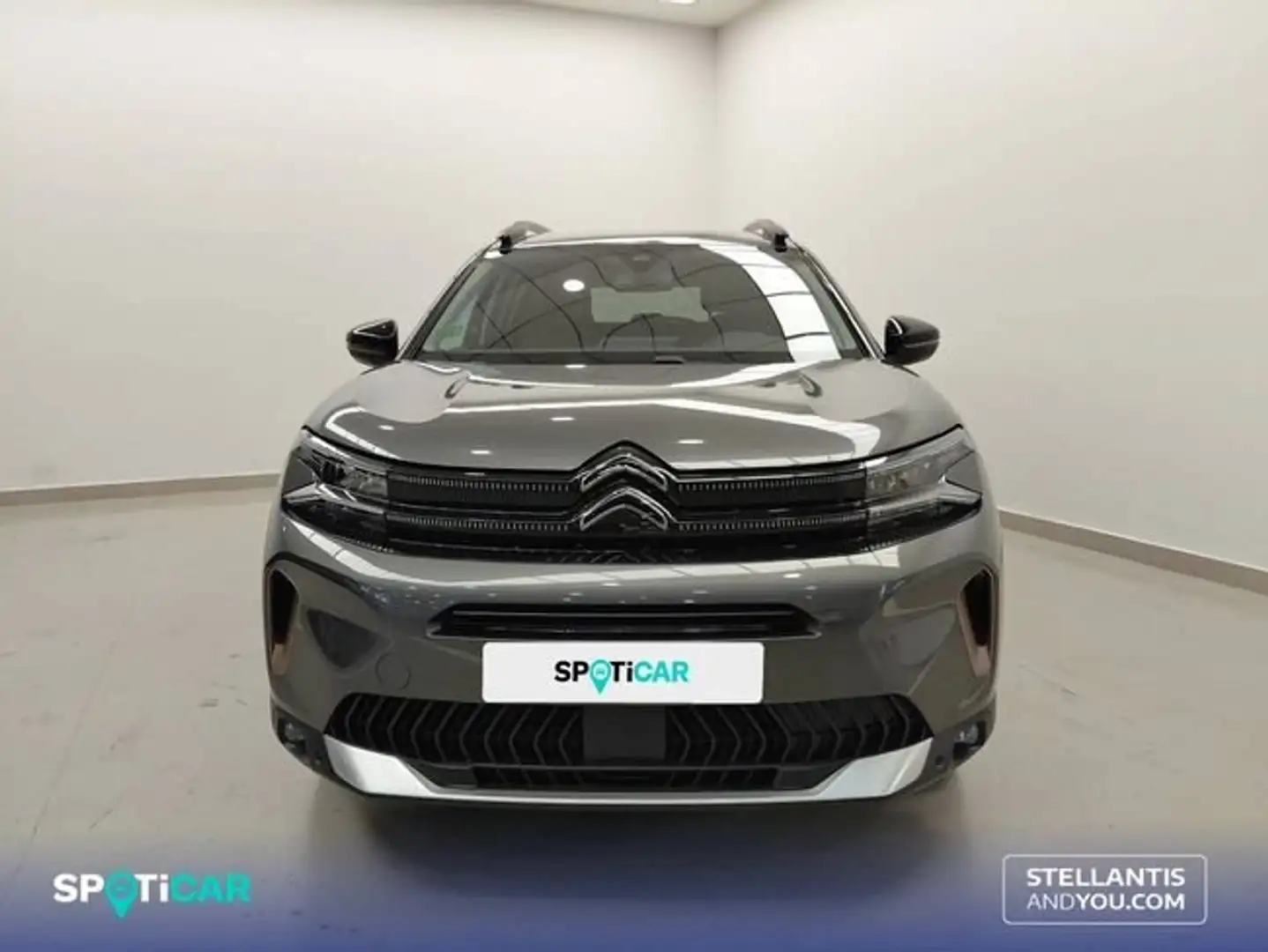 Citroen C5 Aircross PureTech 96kW (130CV) S&S EAT8 C Series Gris - 2