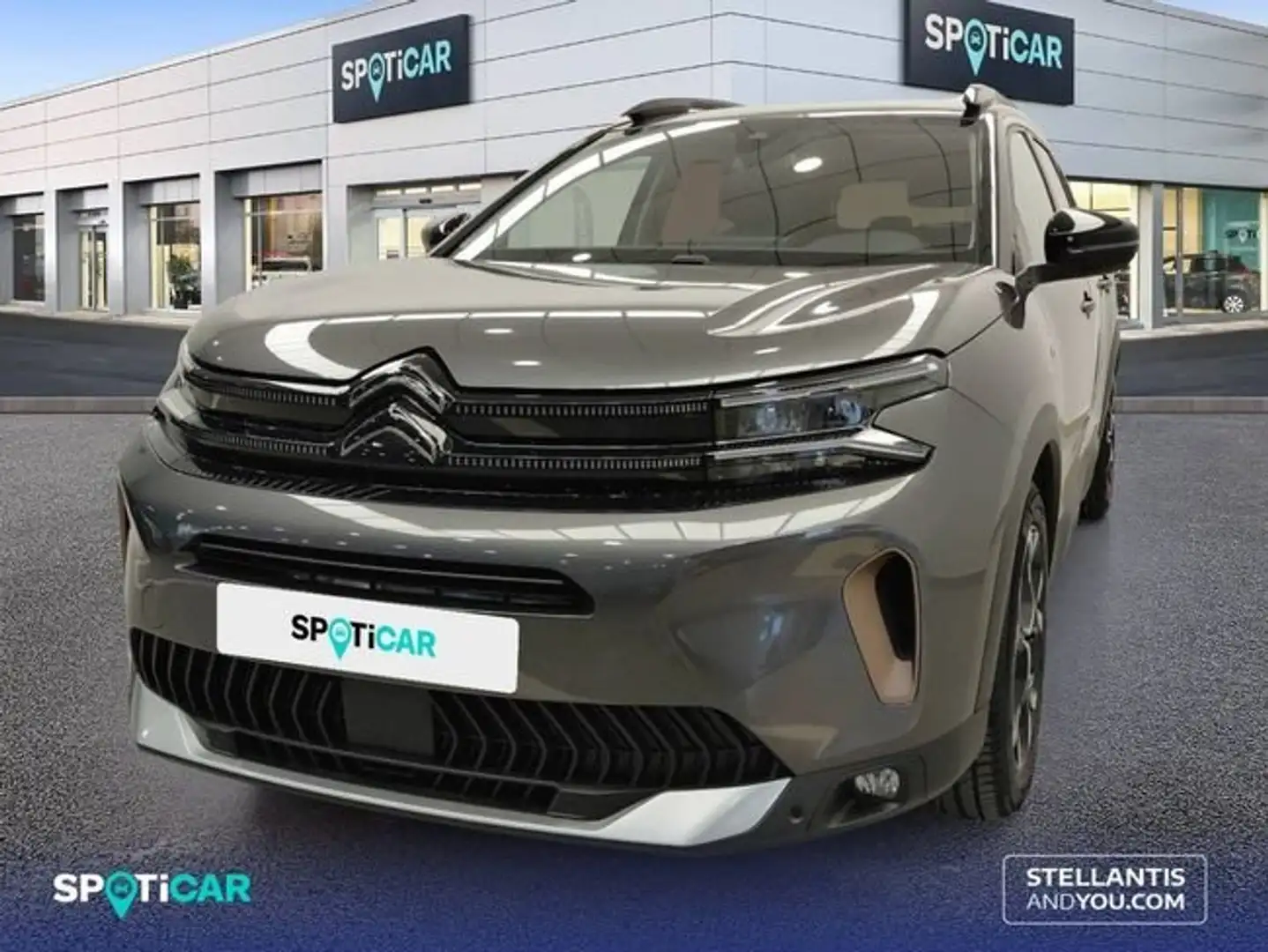Citroen C5 Aircross PureTech 96kW (130CV) S&S EAT8 C Series Gris - 1