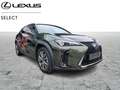 Lexus UX 300h 300h F Sport Design Vert - thumbnail 1