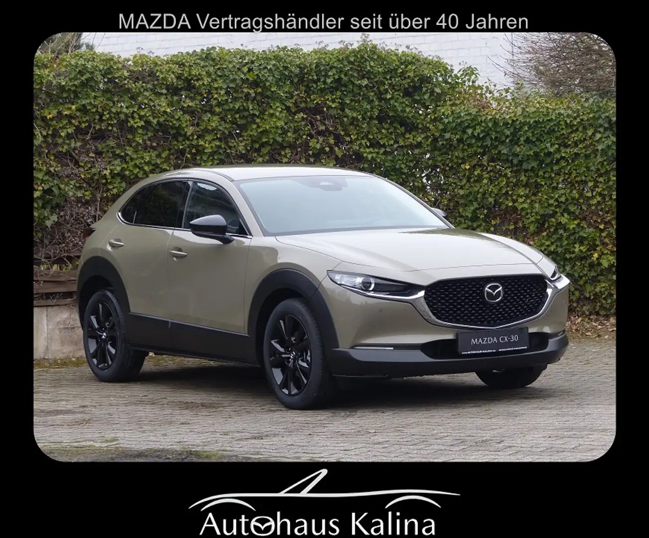 Mazda CX-30 2025 2.5L e-SKYACTIV G 140ps 6AT FWD Homura Gris - 1