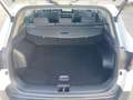 Kia Sportage 1.6 TGDi MHEV Drive 4x2 Blanco - thumbnail 17