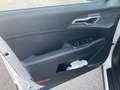Kia Sportage 1.6 TGDi MHEV Drive 4x2 Blanco - thumbnail 12