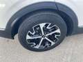 Kia Sportage 1.6 TGDi MHEV Drive 4x2 Blanco - thumbnail 19