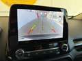 Ford EcoSport 1.0 EcoBoost 125 CV S&S Active PREZZO REALE Blauw - thumbnail 16