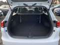 Kia Ceed SW / cee'd SW 1.5 T-GDI DCT7 Vision NAVI APPS KAMERA PDC Blanc - thumbnail 7