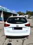 Kia Ceed / cee'd Kia Ceed Sportswagon 1.4 CRDI Cool Weiß - thumbnail 12