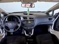 Kia Ceed / cee'd Kia Ceed Sportswagon 1.4 CRDI Cool Weiß - thumbnail 4