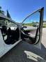 Kia Ceed / cee'd Kia Ceed Sportswagon 1.4 CRDI Cool Weiß - thumbnail 3