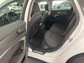 Audi A6 Avant 40 TDI quattro S-tronic *LED*NAVI*ACC*AHK... Bianco - thumbnail 13