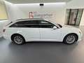 Audi A6 Avant 40 TDI quattro S-tronic *LED*NAVI*ACC*AHK... Bianco - thumbnail 3