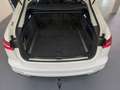 Audi A6 Avant 40 TDI quattro S-tronic *LED*NAVI*ACC*AHK... Bianco - thumbnail 14