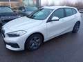BMW 118 d Business automatica ottime condizioni Bianco - thumbnail 4