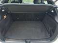 Mercedes-Benz B 180 d Progressive PTS Shz LED eHeck MBUX AUT Weiß - thumbnail 15