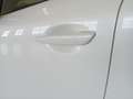 Mazda CX-60 3.3L MHEV Homura CON-P DRI-P COM-P PAN-P NKS 4WD Blanco - thumbnail 11