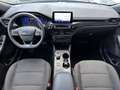 Ford Kuga 2.0 EcoBlue 120 CV aut. 2WD ST-Line Grigio - thumbnail 7