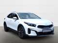 Kia XCeed 1.5 T-GDI DCT7 Vision Komfort 160PS Navi Digitales Weiß - thumbnail 11