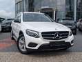 Mercedes-Benz GLC 300 4MATIC Led. Sitzh. Navi. AMG NIGHT Blanc - thumbnail 3
