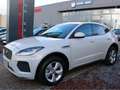 Jaguar E-Pace D 180 AWD R-DYNAMIC PANO CUIR NAVI Gris - thumbnail 4