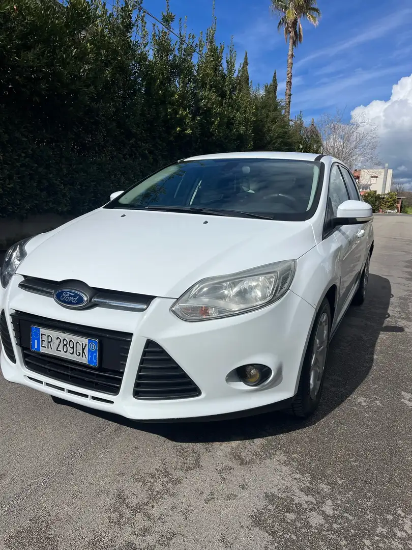 Ford Focus SW 1.6 tdci Plus 115cv Bianco - 1