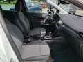 Opel Crossland Elegance, 2-Zonen Klima,SH,LH,Frontscheibenheitzun Weiß - thumbnail 9