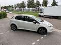 Fiat Punto Evo 0.9 TwinAir Young ((( 105.000 km ))) Wit - thumbnail 5