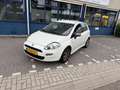 Fiat Punto Evo 0.9 TwinAir Young ((( 105.000 km ))) Wit - thumbnail 15