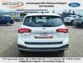 Ford Focus Active Vignale Weiß - thumbnail 5