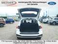 Ford Focus Active Vignale Weiß - thumbnail 6