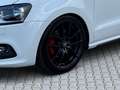 Volkswagen Polo GTI DSG Weiß - thumbnail 8