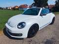 Volkswagen Beetle Cabriolet"iBeetle Design"Bi-Xenon*el.DACH Weiß - thumbnail 2