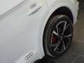 Audi Q5 40 2.0 tdi mhev S line Plus quattro 204cv s-tronic Білий - thumbnail 4