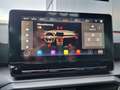 SEAT Leon Sportstourer 2.0 TSI DSG FR Plus AHK Pano ACC DCC Weiß - thumbnail 15