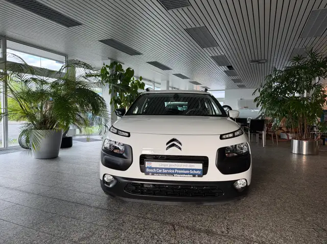 Citroen C4 Cactus Shine