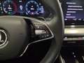 Skoda Octavia 4x4 Ambition TDI DSG Grau - thumbnail 15