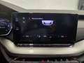 Skoda Octavia 4x4 Ambition TDI DSG Grau - thumbnail 10
