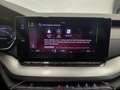 Skoda Octavia 4x4 Ambition TDI DSG Grau - thumbnail 9