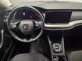 Skoda Octavia 4x4 Ambition TDI DSG Grau - thumbnail 6
