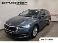 Skoda Octavia 4x4 Ambition TDI DSG Grau - thumbnail 1