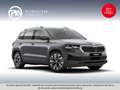 Skoda Karoq Style TDI DSG Grau - thumbnail 1